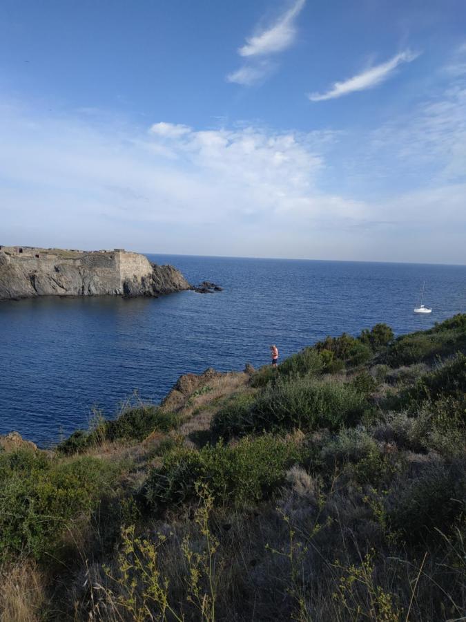 Port Heaven, A Deux Pas Du Port, Grand Balcon Apartment Port Vendres Exterior foto